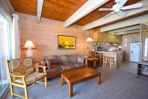 Televisión y reproductor de DVD 