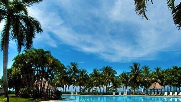 Una piscina azul cristalina rodeada de palmeras y sillas de descanso.