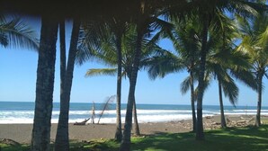 Una playa con palmeras y vista al océano.