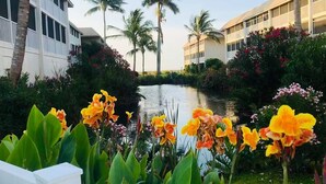 Ein Hotel mit einem Wasserspiel im Vordergrund, umgeben von üppiger Vegetation und Palmen.