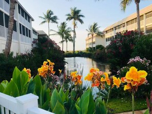 Property grounds - Living The Dream (Sanibel)