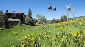 A building with a modern architectural style, a grassy area with yellow flowers, and a cable car system in the background.