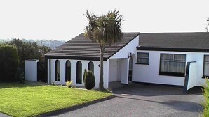 A two-story house with a paved driveway, a lawn, and a palm tree.