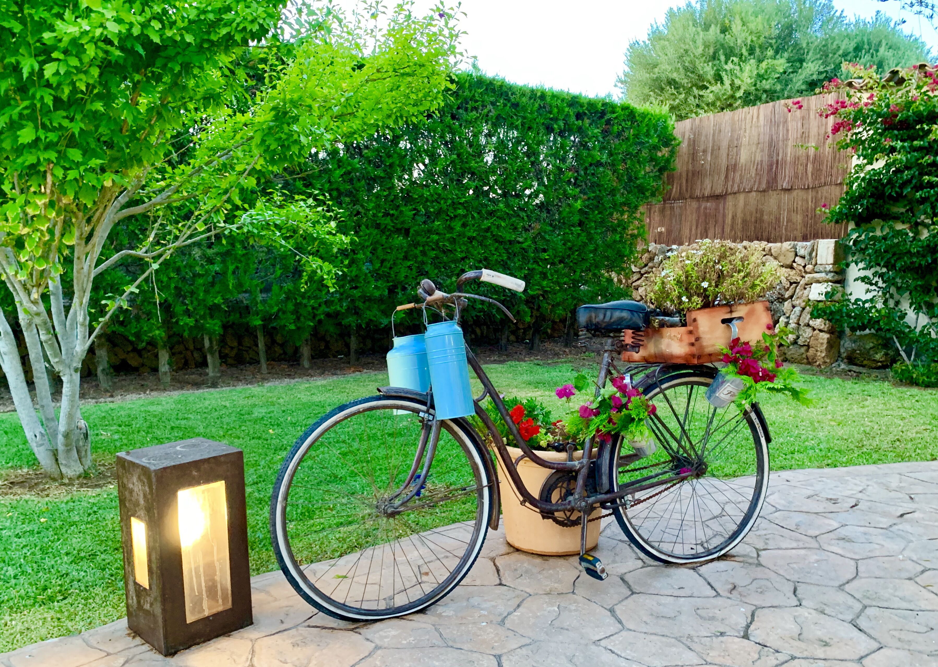 A bicycle with a basket and a planter attached to the back, parked on a stone pathway.