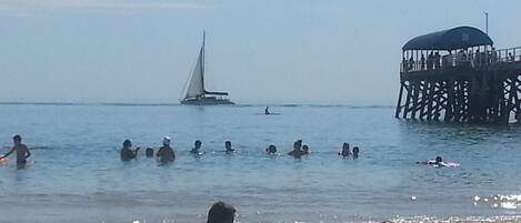 On the beach, sun loungers, beach umbrellas, surfing
