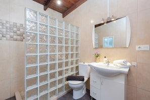 A bathroom with a toilet, a sink, a mirror, and a shower enclosure with frosted glass panels.