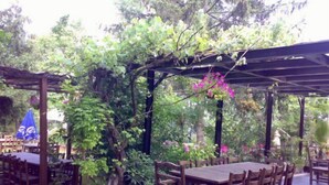 Une terrasse extérieure avec des tables et des chaises en bois, entourée d’une végétation luxuriante et de plantes en fleurs.