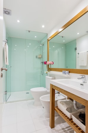 Shower, hair dryer, bathrobes, slippers