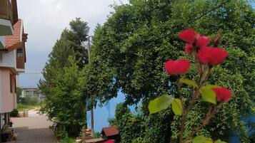 Entrada da propriedade