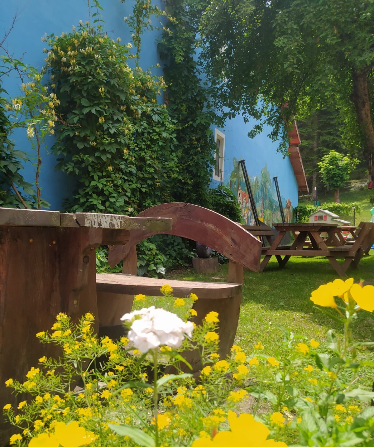 Jardin