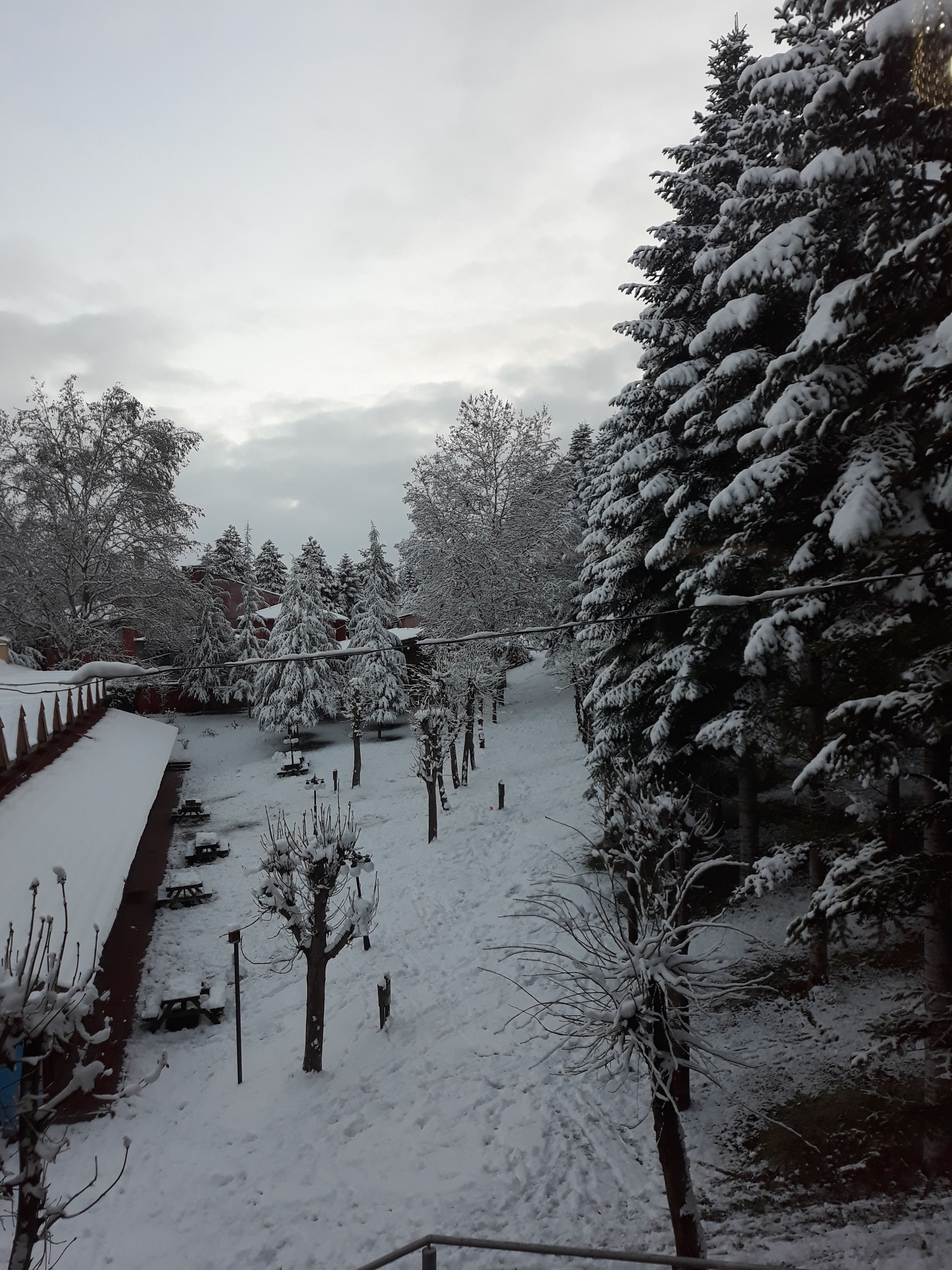 Un espacio exterior cubierto de nieve con árboles y un sendero.