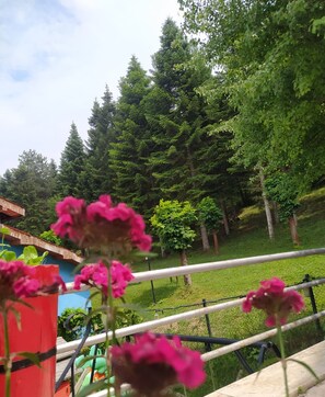 Terrace/patio - Bolu Yildiz Hotel (Bolu)