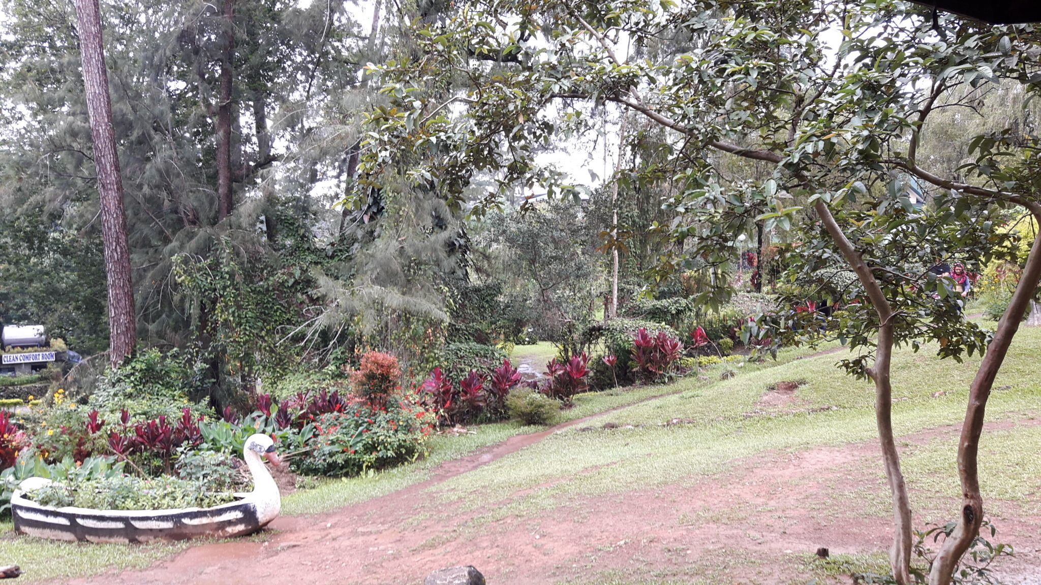 A garden with a swan statue, a dirt path, and a sign reading "Clean Comfort Room".