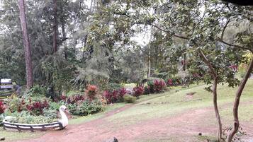 A garden with a swan statue, a dirt path, and a sign reading "Clean Comfort Room".