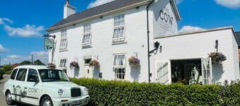 The Cow Dalbury