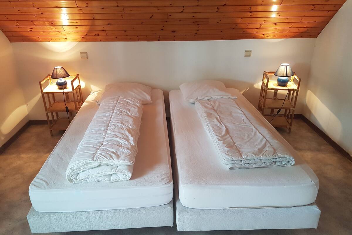 Ein Zimmer mit zwei Einzelbetten, jeweils mit Kissen und Decke, und flankiert von Nachttischen aus Holz mit Lampen.