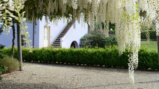 A building with a white exterior, a visible staircase, and a gravel pathway. - Guesthouse ai Santinelli (Capannori)