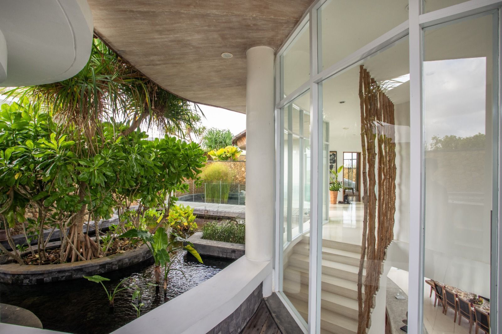 Un intérieur moderne avec un mur de verre, un petit élément décoratif aquatique et des plantes d’intérieur.