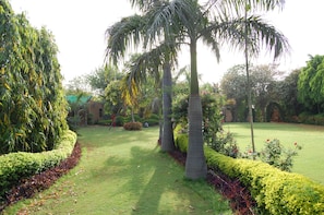 Property grounds - Surjivan Resort (Taoru)