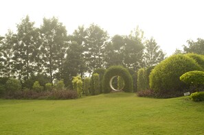 Vista desde la propiedad