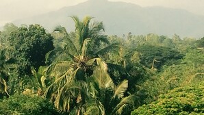Mountain view - Mount River View (Kandy)