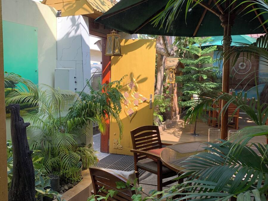 Un patio con mesa y sillas de madera, rodeado de plantas en macetas y un paraguas verde.