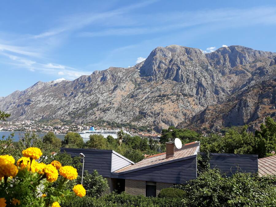 Eksteriør