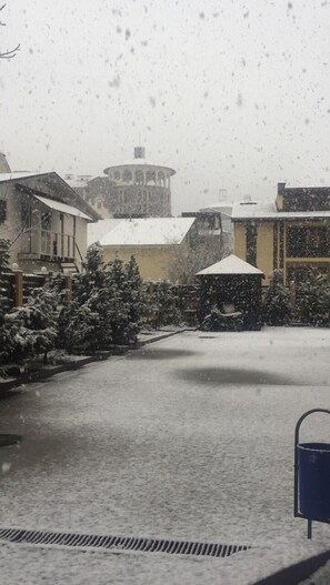 Property grounds - Tvoy Hostel (Estosadok)