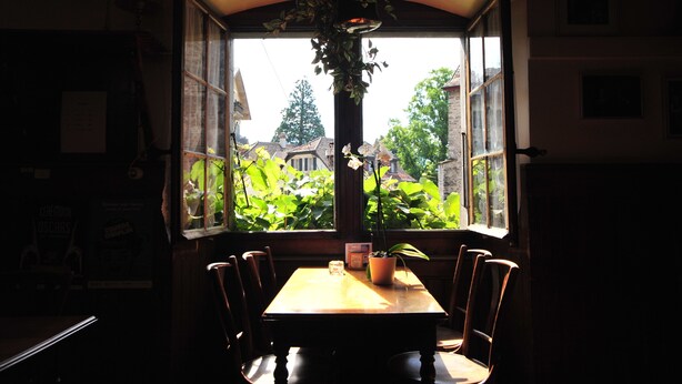 Ein Essbereich mit Tisch und Stühlen, einer hängenden Pflanze und einem Fenster mit Blick auf Grünflächen und Gebäude.