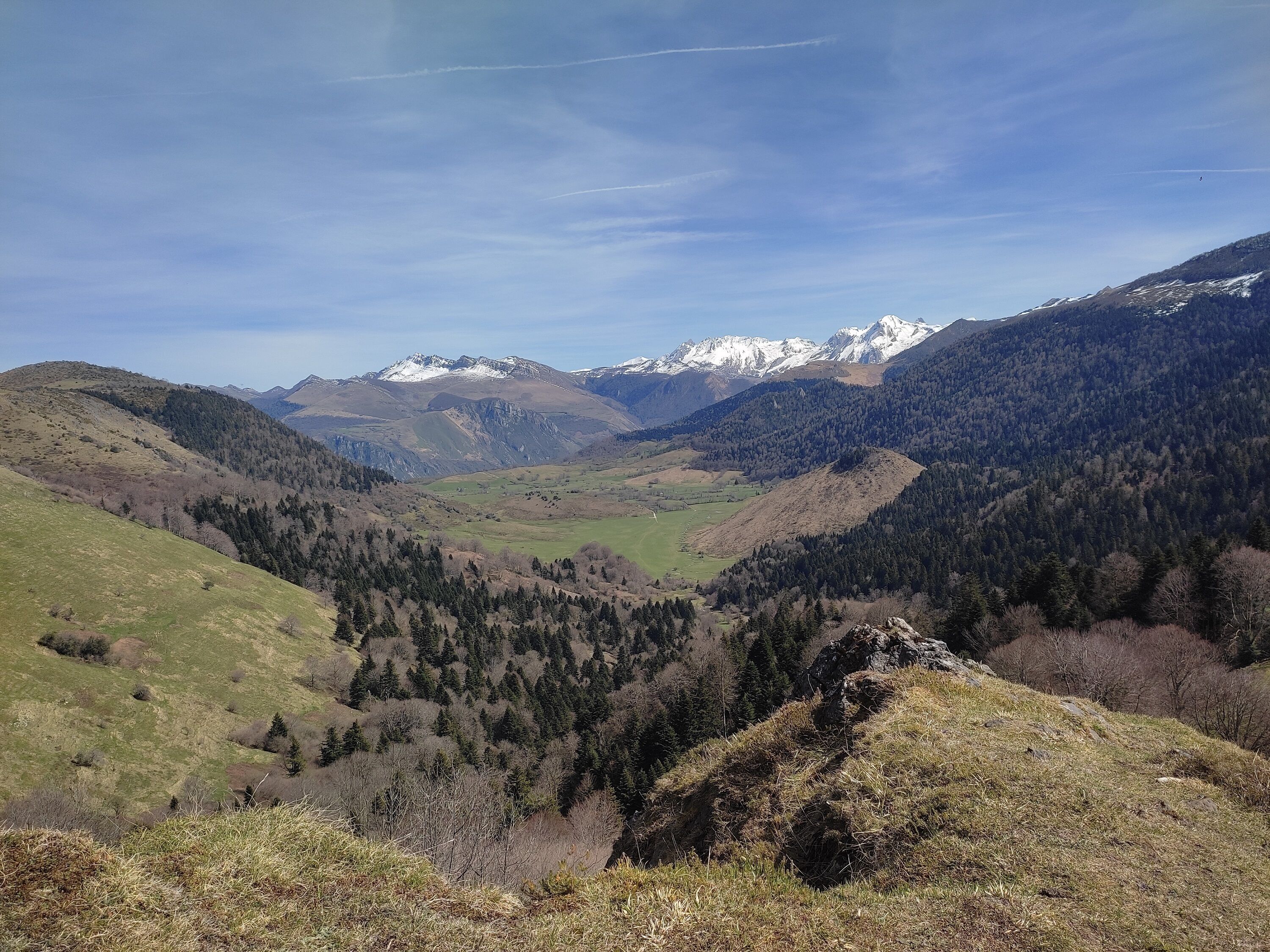 A mountainous landscape with a valley, forested areas, and snow-capped peaks in the distance.