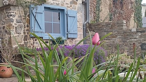 A stone building with a window and shutters, surrounded by greenery and purple flowers.