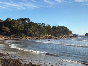 Plage à proximité