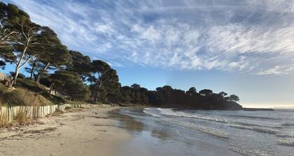 3-room apartment with pool and garage, near the beach