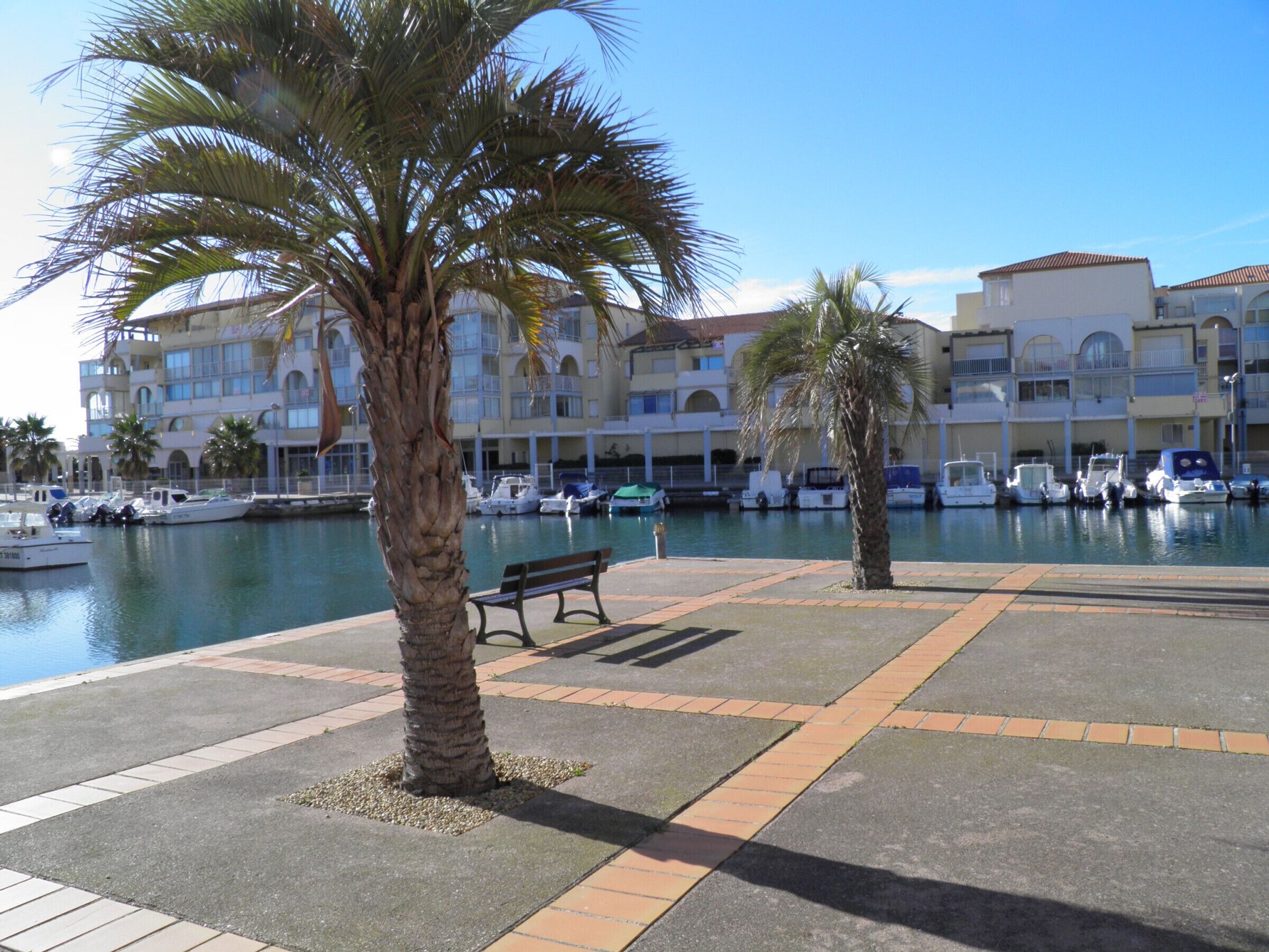 A marina with boats docked, palm trees, and a bench.