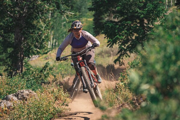 A person riding a mountain bike on a dirt trail surrounded by greenery.