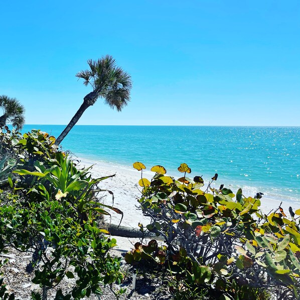 Beach nearby, sun-loungers, beach towels