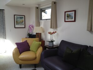 Smart-TV, Netflix, DVD-spiller og bøker