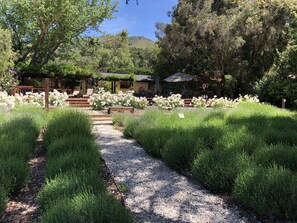 Jardines del alojamiento