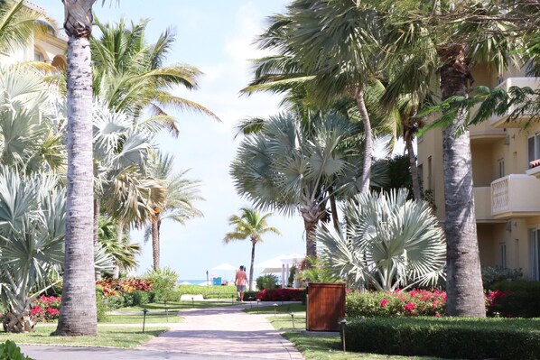 A pathway lined with palm trees and tropical plants leading to a building with balconies.
