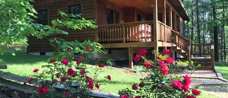 Una cabaña de madera con un porche y un jardín de rosas rojas.