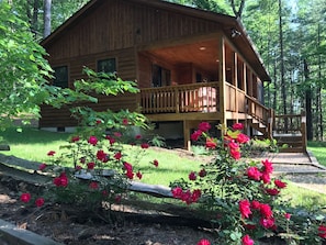 Exterior - "Solitude" Secluded 1 BR Cabin Nestled in the Woods w/ Hot Tub near Luray, VA. (Rileyville)