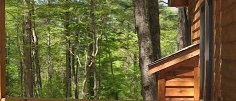 A wooden deck with a table and two chairs, overlooking a forested area.