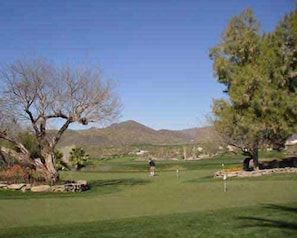 Un campo de golf con cielo despejado, un árbol grande a la izquierda y una montaña al fondo.