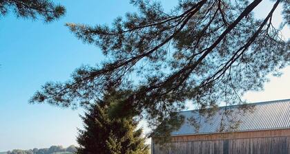 Restored colonial farmhouse near Seven Springs -- Perfect for family gatherings