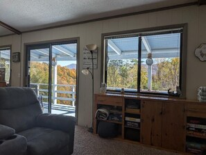 Flat-screen TV, fireplace, video games, DVD player