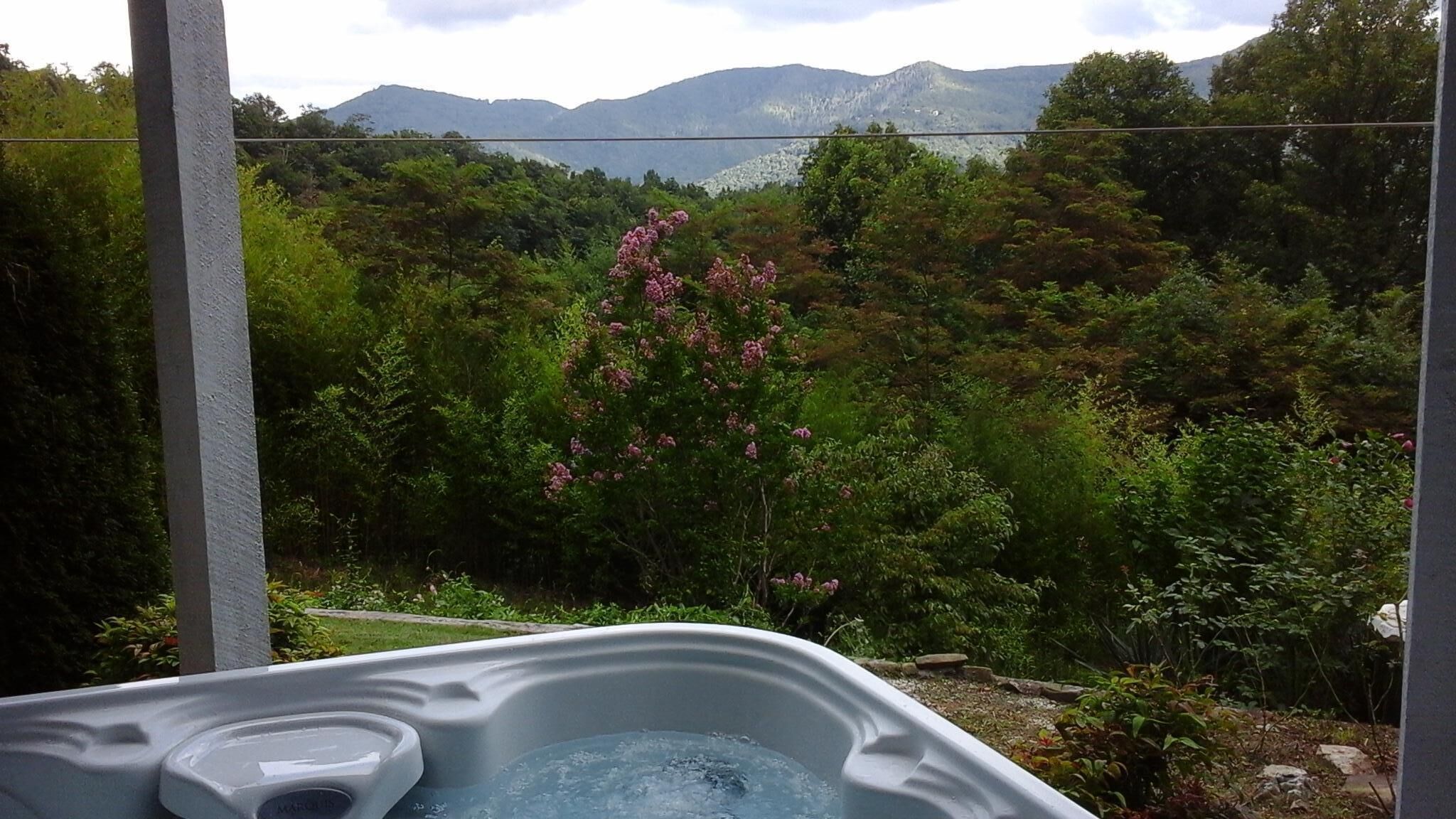 Stay with Confidence-24 hr Views-Hot Tub-Fast WiFi-Carport