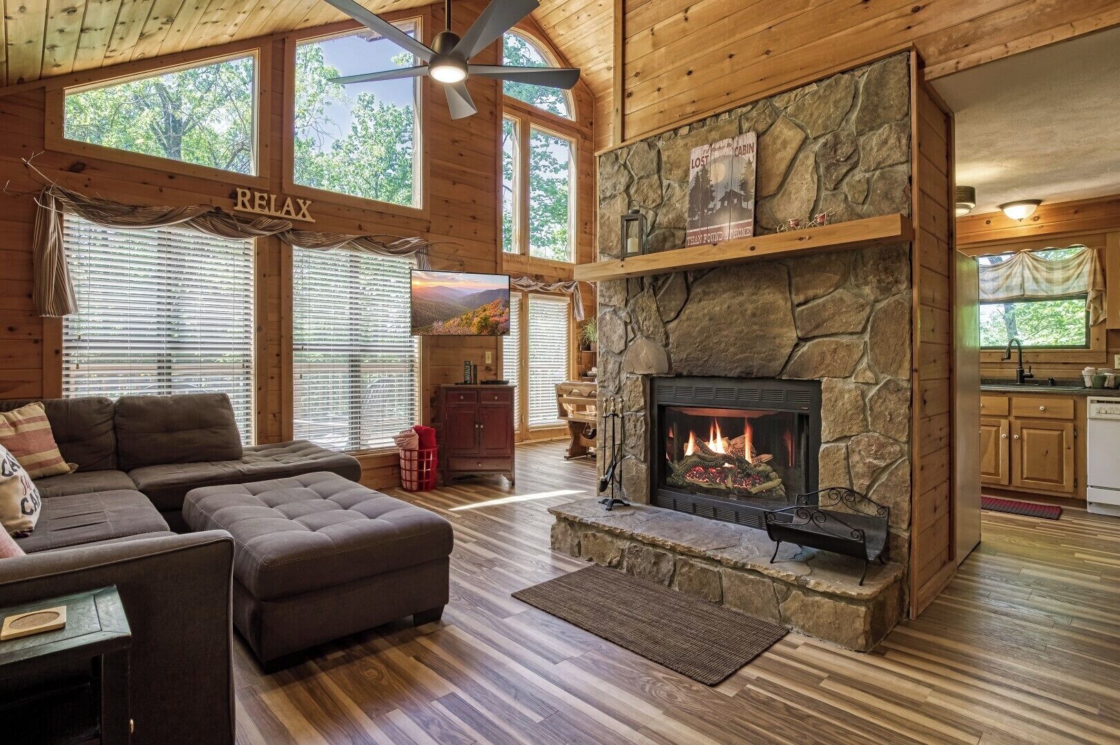 Smart TV, fireplace, DVD player, books