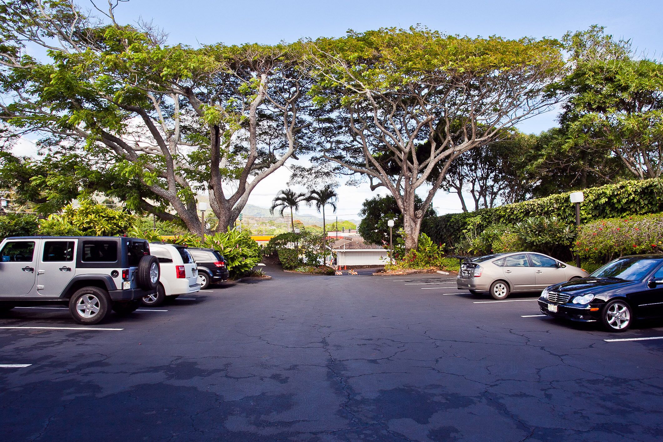 Un parking où sont garées plusieurs voitures, dont un Jeep et une berline, le tout entouré d’une végétation luxuriante et d’arbres.
