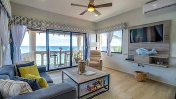 Smart TV, DVD player, books, video library
