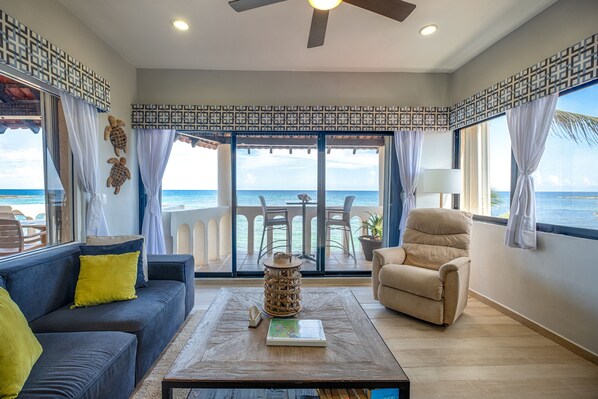 Smart TV, DVD player, books, video library